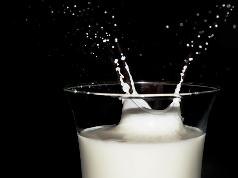 Milk for healthy weight gain